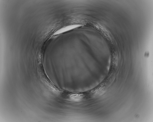 X0000093370465200711011232