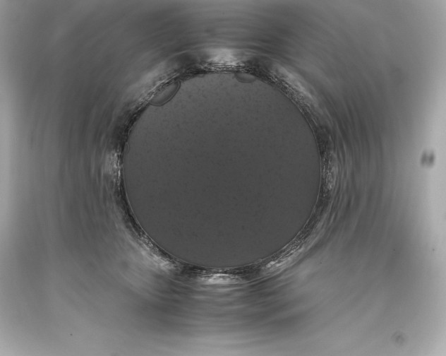 X0000093370467200711011232