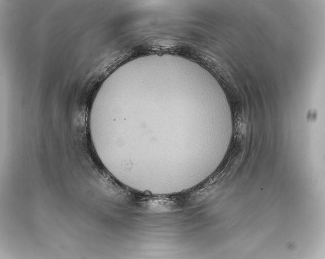 X0000093370468200711011232