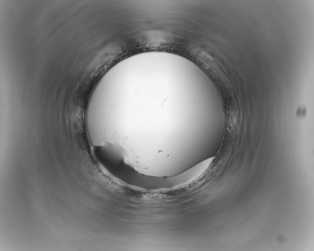 X0000093370470200711011232