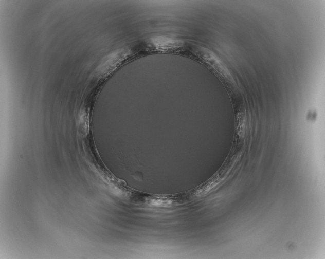 X0000093370471200711011232