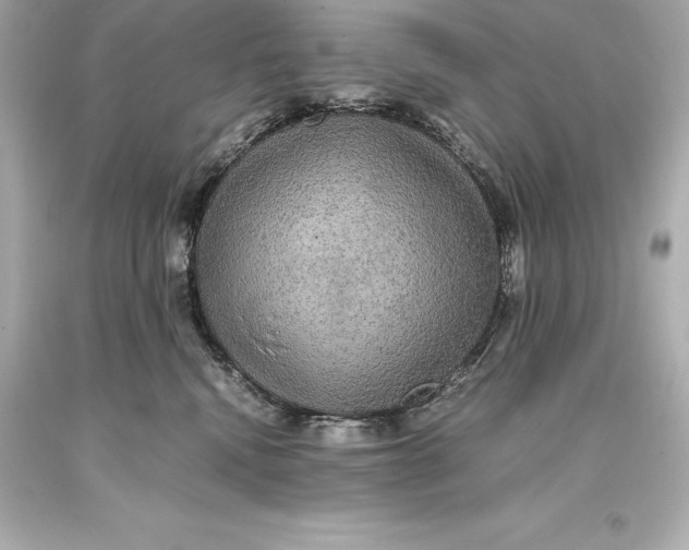 X0000093370472200711011232