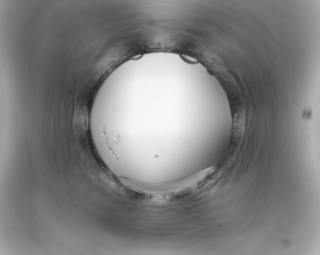 X0000093370474200711011232