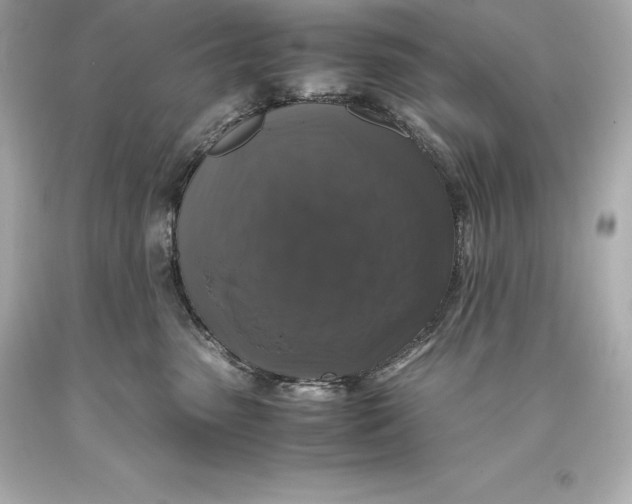 X0000093370475200711011232