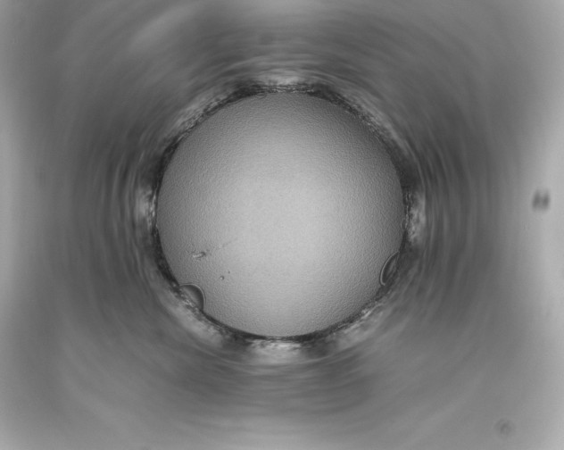 X0000093370476200711011232