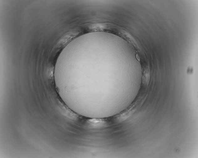 X0000093370477200711011232