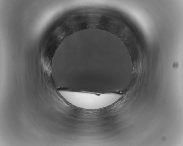 X0000093370479200711011232