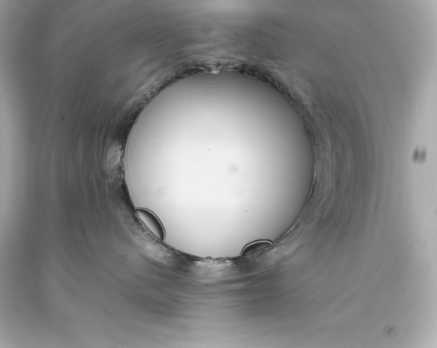 X0000093370480200711011232