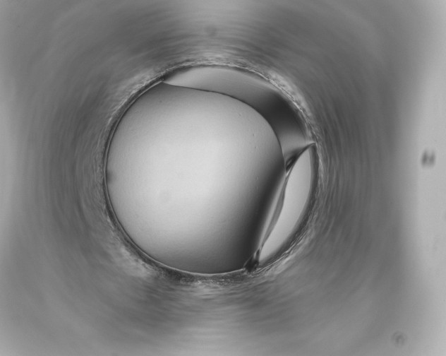 X0000093370481200711011232