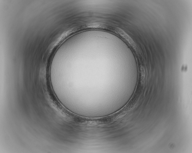 X0000093370482200711011232