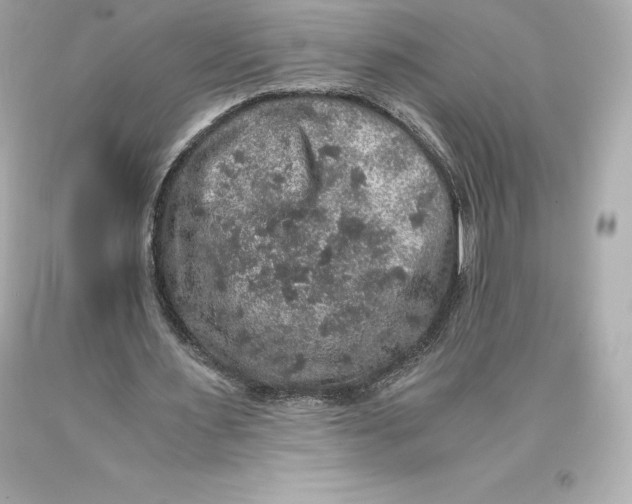 X0000093370483200711011232