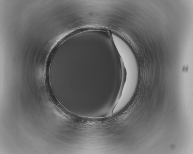 X0000093370484200711011232