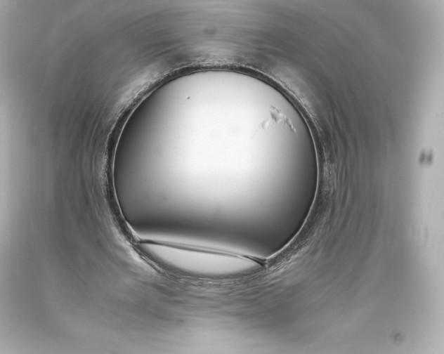 X0000093370485200711011232