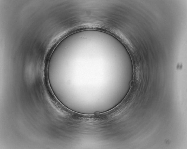 X0000093370486200711011232