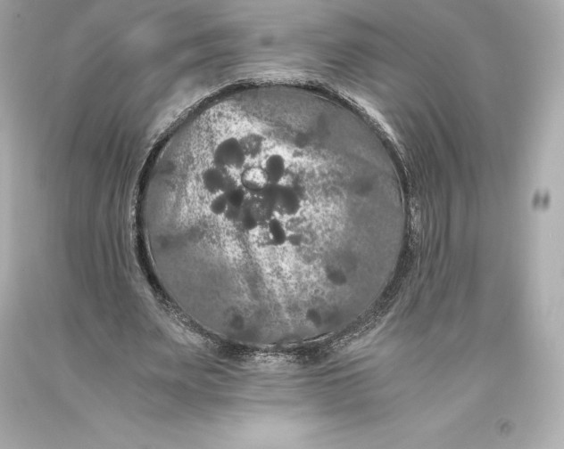 X0000093370487200711011232