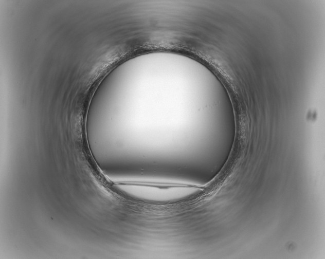 X0000093370489200711011232