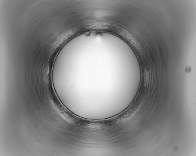 X0000093370490200711011232