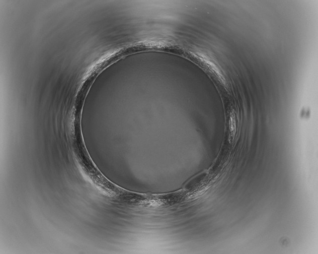 X0000093370492200711011232