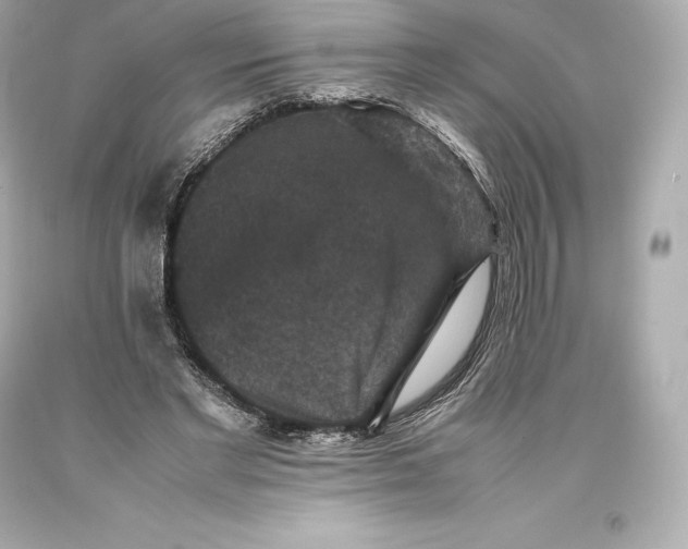 X0000093370493200711011232