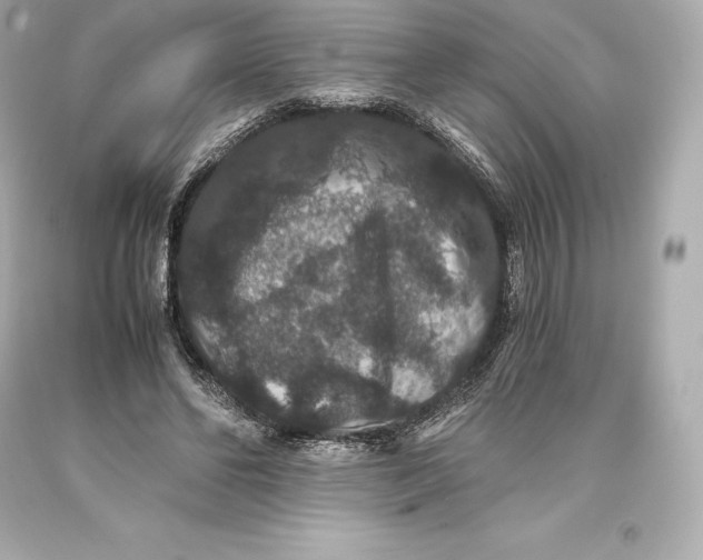 X0000093370494200711011231