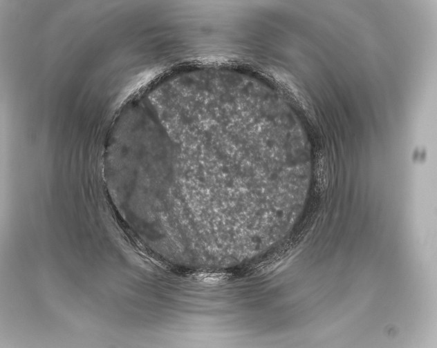 X0000093370495200711011231