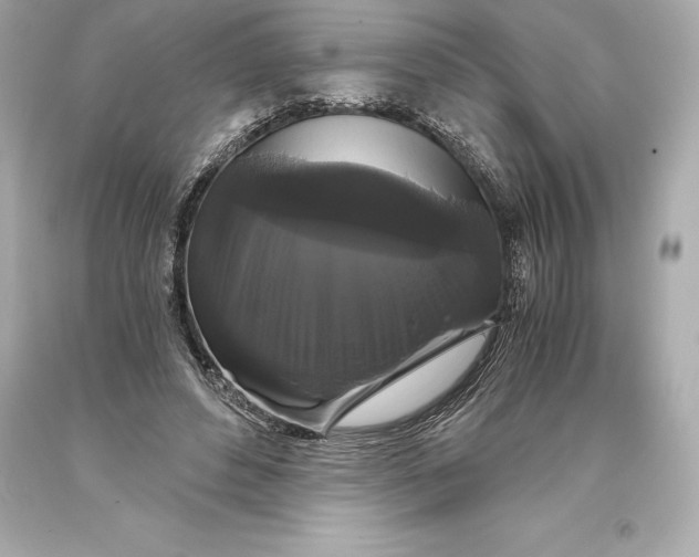 X0000093370496200711011231