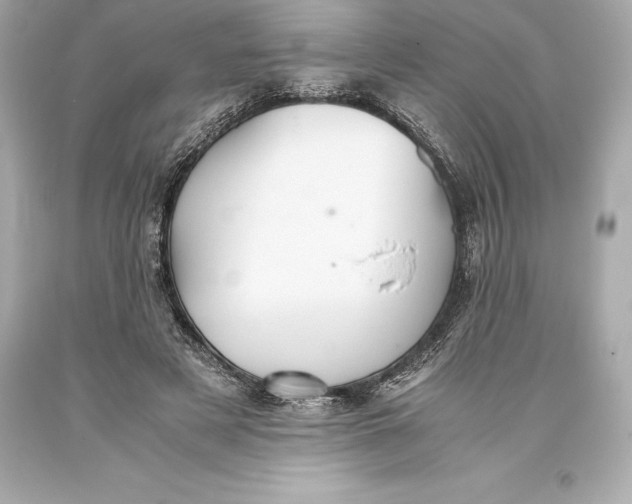 X0000093370497200711011231