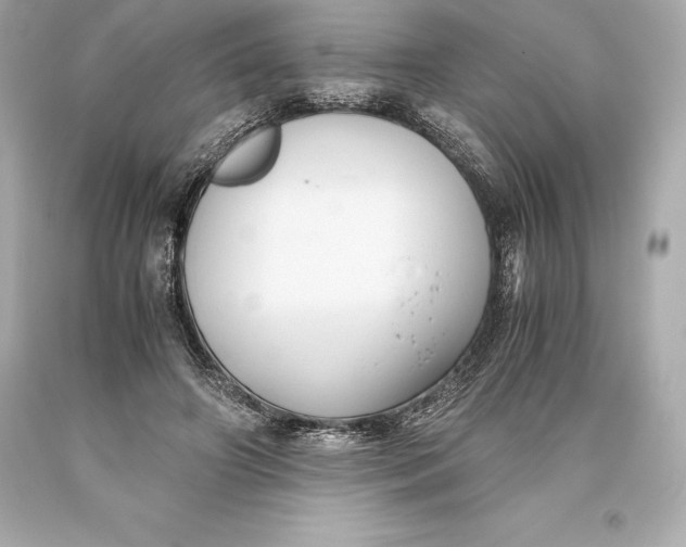 X0000093370498200711011231