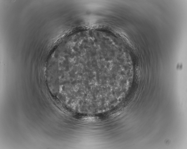 X0000093370499200711011231