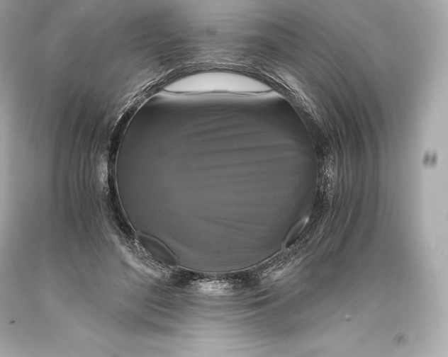 X0000093370500200711011231