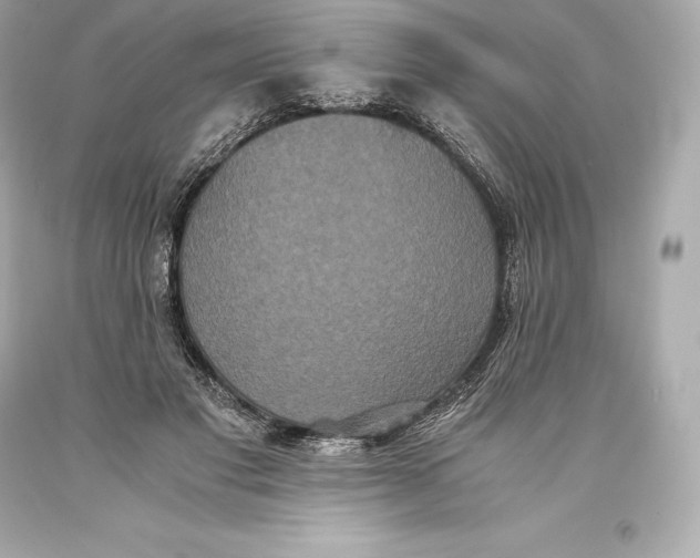 X0000093370501200711011231