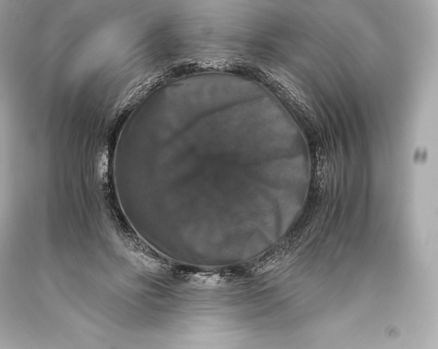 X0000093370502200711011231