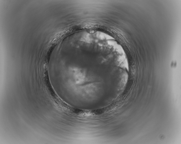 X0000093370503200711011231