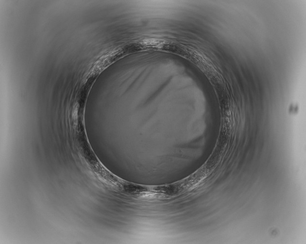 X0000093370504200711011231