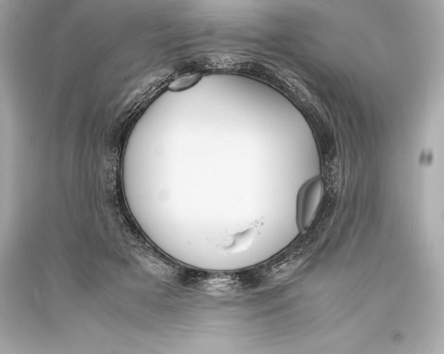 X0000093370505200711011231