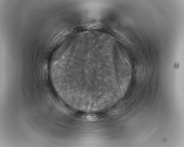 X0000093370506200711011231