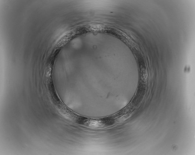 X0000093370507200711011231