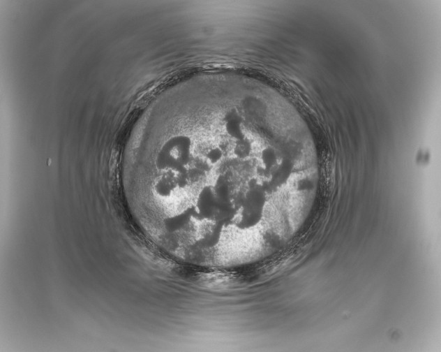 X0000093370511200711011231