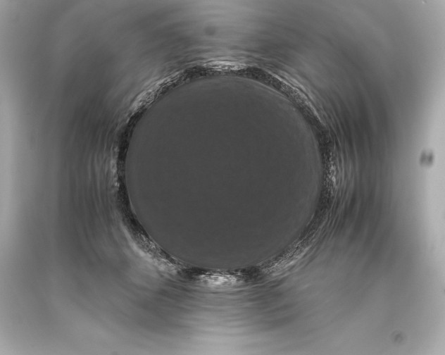 X0000093370512200711011231