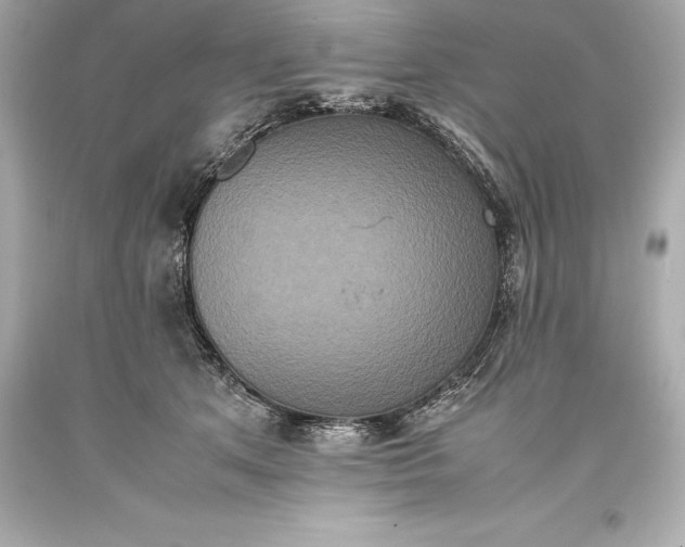 X0000093370513200711011231