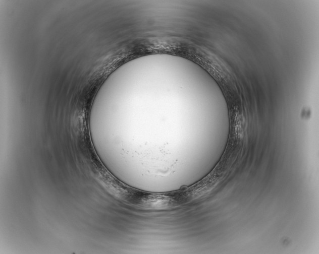 X0000093370514200711011231