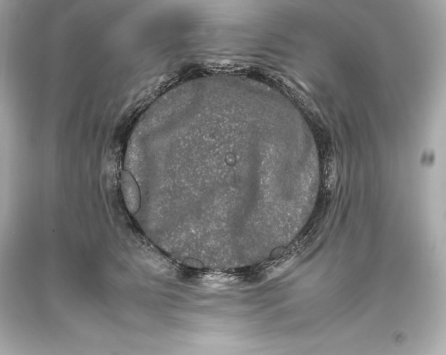 X0000093370515200711011231