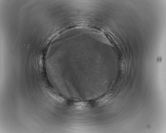 X0000093370516200711011231