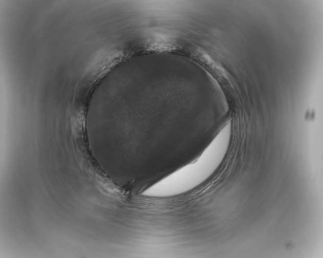 X0000093370517200711011231