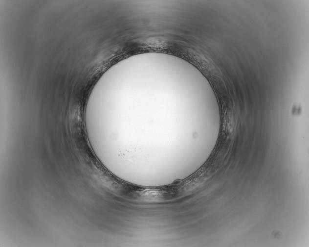 X0000093370518200711011231