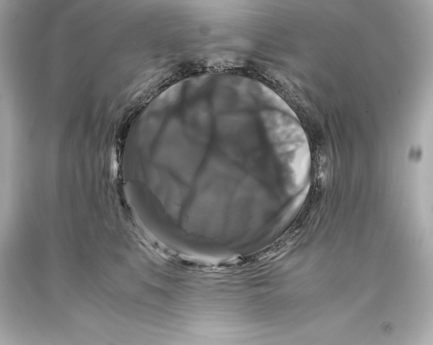 X0000093370519200711011231