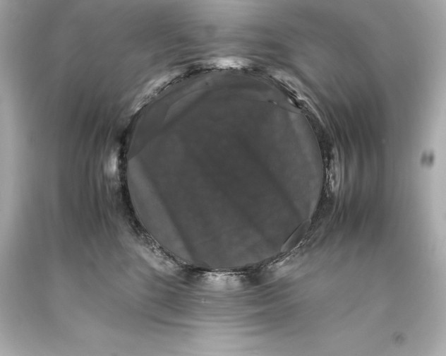 X0000093370520200711011231