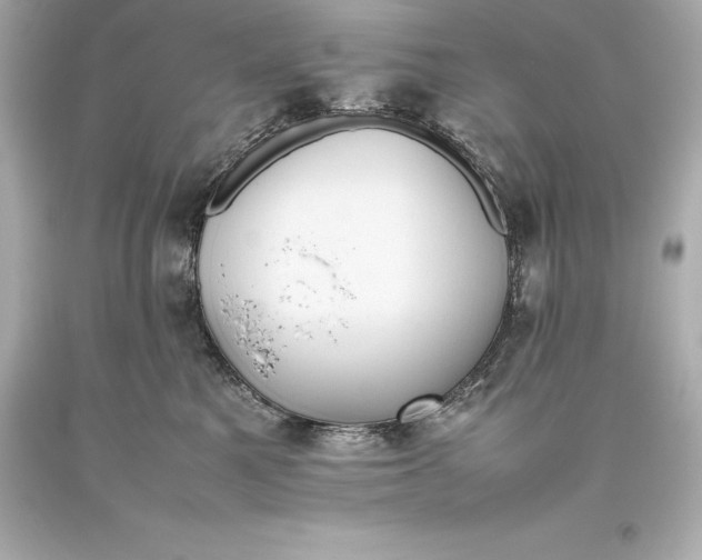 X0000093370521200711011231