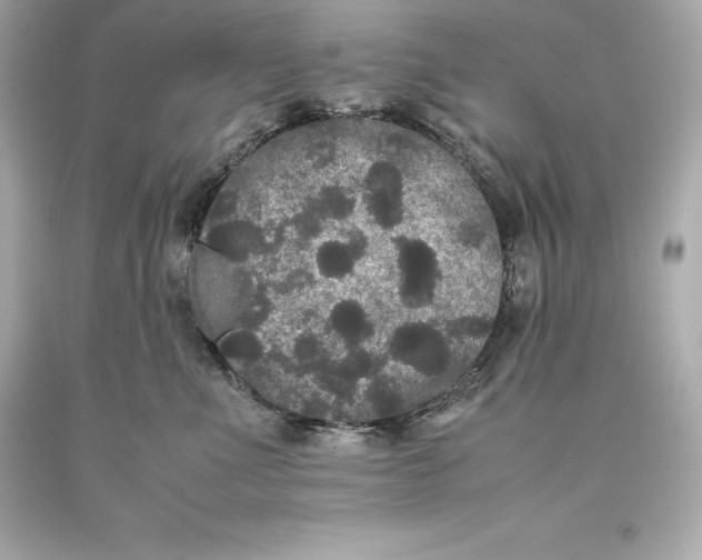 X0000093370523200711011231