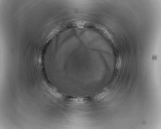 X0000093370524200711011231